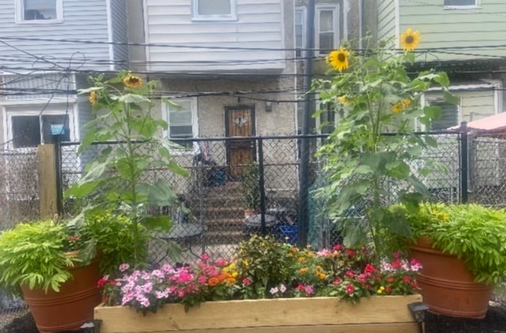 A flower bed with sunflowers and potted plants outside of a home